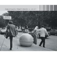 Public Places, Private Spaces di Al Wildey edito da Xlibris Us