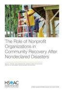 Role of Nonprofit Organizations in Community Recovery After Nondeclared Disasters di Melissa L Finucane, Jessica Welburn Paige, Andrew M Parker edito da RAND CORP