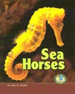 Sea Horses di Sally M. Walker edito da Lerner Publishing Group