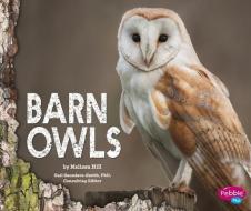 Barn Owls di Melissa Ann Hill edito da CAPSTONE PR