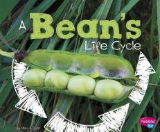 A Bean's Life Cycle di Mary R. Dunn edito da CAPSTONE PR