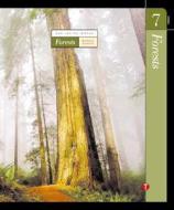 Volume 7: Forests di Barbara A. Somervill edito da Tradition Books