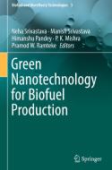 Green Nanotechnology For Biofuel Production edito da Springer International Publishing Ag