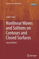 Nonlinear Waves and Solitons on Contours and Closed Surfaces di Andrei Ludu edito da Springer Berlin Heidelberg