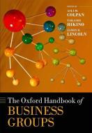The Oxford Handbook of Business Groups di Asli M. Colpan, Takashi Hikino, James R. Lincoln edito da Oxford University Press