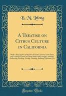 A Treatise on Citrus Culture in California: With a Description of the Best Varieties Grown in the State, and Varieties Grown in Other States and Forei di B. M. Lelong edito da Forgotten Books