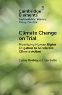 Climate Change On Trial di Cesar Rodriguez-Garavito edito da Cambridge University Press