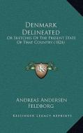 Denmark Delineated: Or Sketches of the Present State of That Country (1824) di Andreas Andersen Feldborg edito da Kessinger Publishing