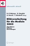 Bildverarbeitung für die Medizin 2005 edito da Springer Berlin Heidelberg