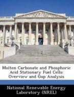 Molten Carbonate And Phosphoric Acid Stationary Fuel Cells edito da Bibliogov
