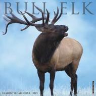 Bull Elk 2019 Wall Calendar di Willow Creek Press edito da Willow Creek Press