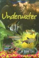 Underwater di Debbie Levy edito da Darby Creek Publishing