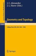 Geometry and Topology edito da Springer Berlin Heidelberg