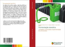 Fermentação etanólica di Camila de Souza Varize, Augusto Bücker, Luiz Carlos Basso edito da Novas Edições Acadêmicas