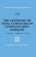 The Geometry of Total Curvature on Complete Open Surfaces di Katsuhiro Shiohama, Takashi Shioya, Minoru Tanaka edito da Cambridge University Press