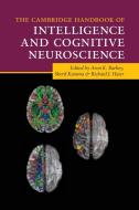 The Cambridge Handbook Of Intelligence And Cognitive Neuroscience edito da Cambridge University Press