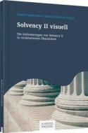 Solvency II visuell edito da Schäffer-Poeschel Verlag