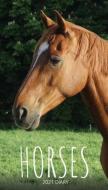 HORSES 2021 DIARY: SLIM POCKET CALENDAR, di LLAMA BIRD PRESS edito da LIGHTNING SOURCE UK LTD