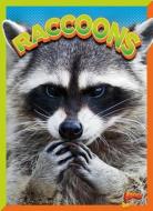 Raccoons di Gail Terp edito da BOLT