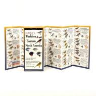 Sibley's Warblers of Eastern North America di David Sibley edito da Steven M. Lewers & Associates