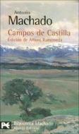 Campos de Castilla di Antonio Machado edito da Alianza (Buenos Aires, AR)