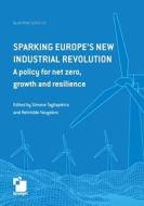 Sparking Europe's new industrial revolution di Simone Tagliapietra, Reinhilde Veugelers edito da Bruegel