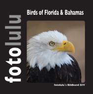 Birds of Florida & Bahamas di fotolulu edito da Books on Demand