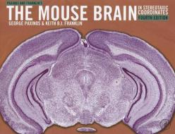 Paxinos, G: Paxinos and Franklin's the Mouse Brain in Stereo di George Paxinos, Keith B. J. Franklin edito da Elsevier LTD, Oxford