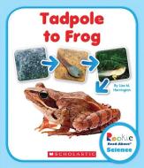 Tadpole to Frog di Lisa M. Herrington edito da CHILDRENS PR