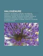 Halogenure: Bromure, Chlorure, Fluorure, Halogenure (Mineral), Halogenure de Metal, Halogenure Organique, Iodure, Chlorure de Xeno di Source Wikipedia edito da Books LLC, Wiki Series