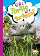 Is It a Turtle or a Tortoise? di Gail Terp edito da BLACK RABBIT BOOKS