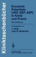 Evozierte Potentiale (Vep, Sep, Aep) in Klinik Und Praxis: Eine Einfuhrung edito da Springer