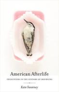 American Afterlife: Encounters in the Customs of Mourning di Kate Sweeney edito da UNIV OF GEORGIA PR