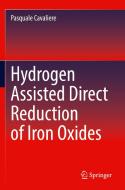 Hydrogen Assisted Direct Reduction of Iron Oxides di Pasquale Cavaliere edito da Springer International Publishing