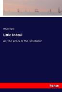 Little Bobtail di Oliver Optic edito da hansebooks