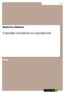 Copyright Exceptions In Copyright Law di Ekaterina Zabelina edito da Grin Publishing