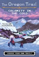 Calamity in the Cold di Jesse Wiley edito da HOUGHTON MIFFLIN