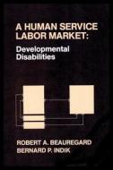 A Human Service Labor Market di Robert A Beauregard, Bernard P Indik edito da Rutgers University Press