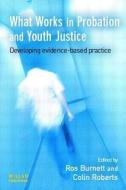 What Works in Probation and Youth Justice edito da Taylor & Francis Ltd