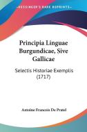 Principia Linguae Burgundicae, Sive Gallicae: Selectis Historiae Exemplis (1717) di Antoine Francois De Pratel edito da Kessinger Publishing