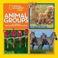 Animal Groups di Jill Esbaum edito da NATL GEOGRAPHIC SOC