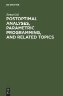 Postoptimal Analyses, Parametric Programming, and Related Topics di Tomas Gal edito da De Gruyter