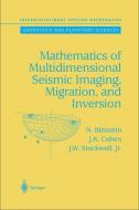 Mathematics of Multidimensional Seismic Imaging, Migration, and Inversion di Norman Bleistein, Jack K. Cohen, John W. Stockwell edito da Springer-Verlag New York Inc.
