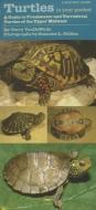 Turtles in Your Pocket: A Guide to Freshwater and Terrestrial Turtles of the Upper Midwest di Terry Vandewalle edito da University of Iowa Press