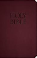 Holy Bible-Nab edito da Saint Benedict Press