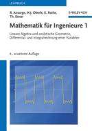 Mathematik Deluxe 1 di Rainer Ansorge, Hans Joachim Oberle, Kai Rothe, Thomas Sonar edito da Wiley VCH Verlag GmbH