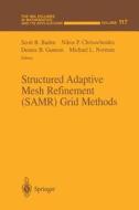 Structured Adaptive Mesh Refinement (SAMR) Grid Methods edito da Springer New York