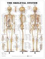 The Skeletal System Anatomical Chart di Anatomical Chart Company edito da Anatomical Chart Co.
