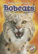 Bobcats di Megan Borgert-Spaniol edito da BELLWETHER MEDIA