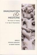 Imagination and Medicine: The Future of Healing in an Age of Neuroscience di Stephen Aizenstat edito da SPRING JOURNAL